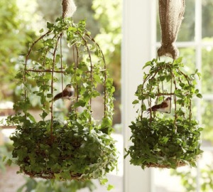 Using cages as hanging gardens / Jaulas como jardines colgantes